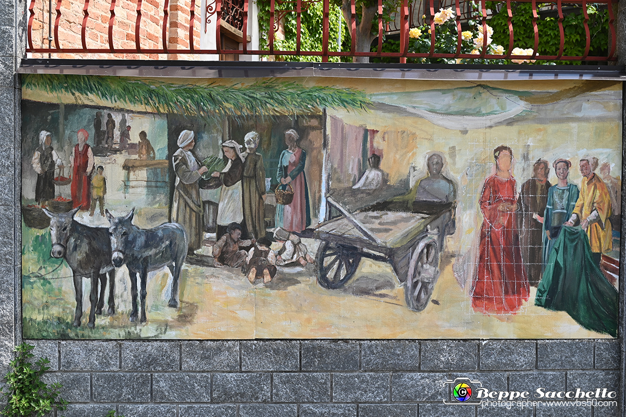 VBS_3787 - Fontanile (Asti) - Murales di Luigi Amerio.jpg